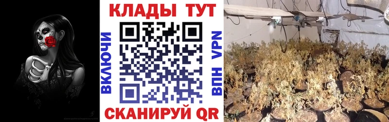 Наркотические вещества Алейск Кокаин АМФ Гашиш Меф мяу мяу А ПВП