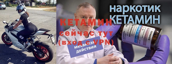 амф Ельня
