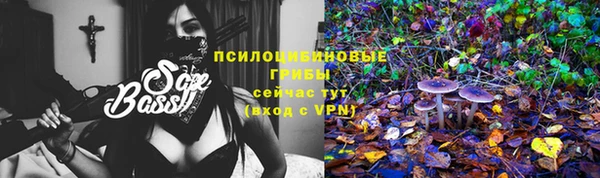a pvp Тында