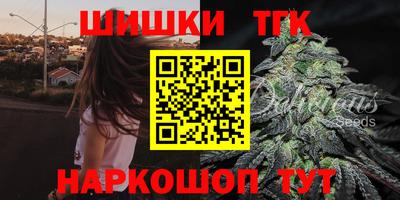 молекула духа Гатчина
