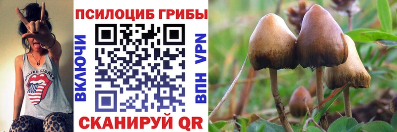 Галлюциногенные грибы Magic Shrooms Алейск