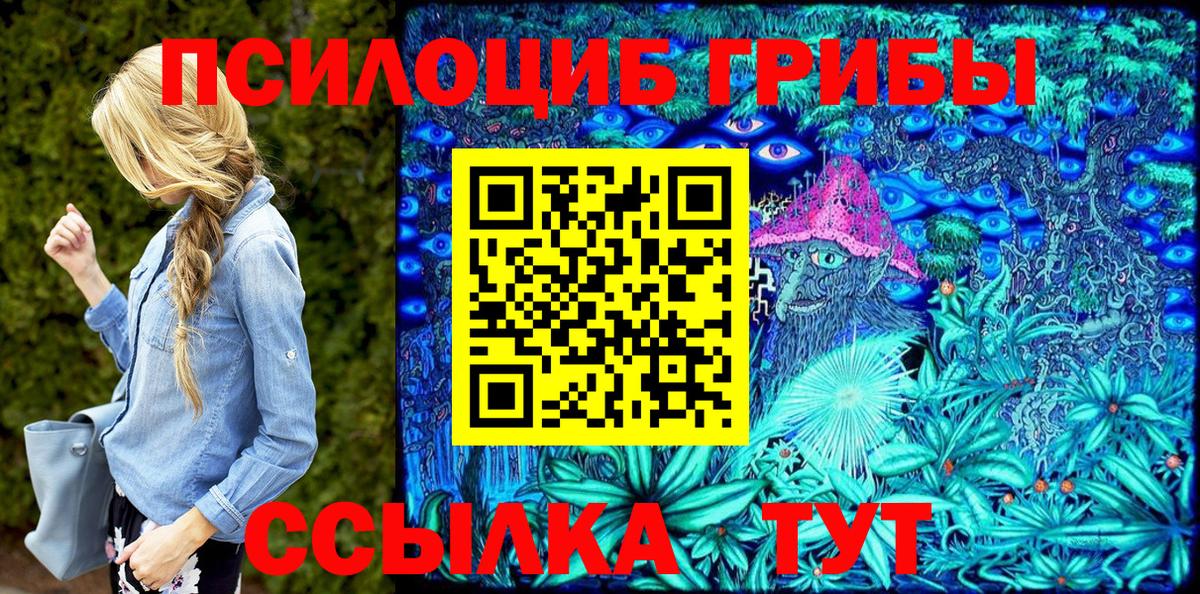 Алейск  Псилоцибиновые грибы Psilocybe  Вход с VPN 