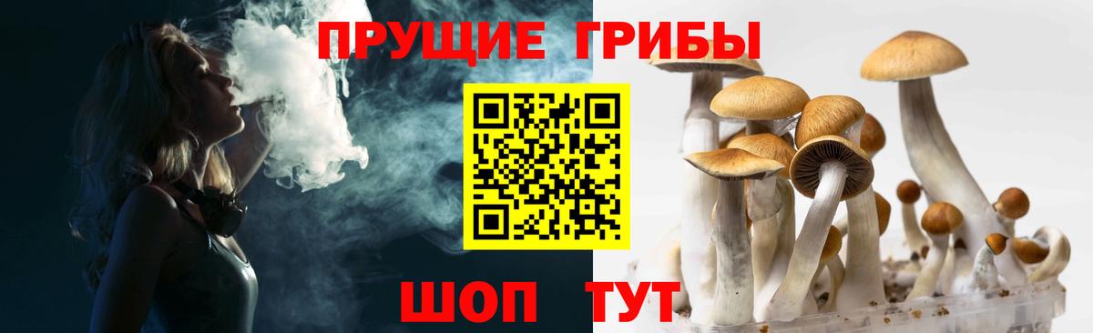 Псилоцибиновые грибы прущие грибы  Вход с VPN  Алейск  как найти закладки  Псилоцибиновые грибы мухоморы 